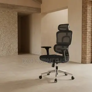 Office Chairs; Orthopedic Modern Office Mesh Reclining Seat