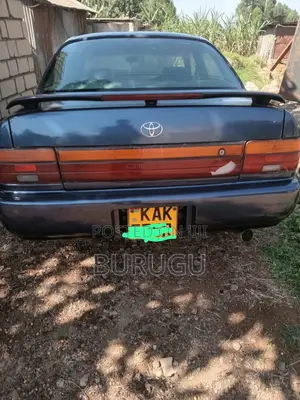 Toyota Corolla 2001 Blue