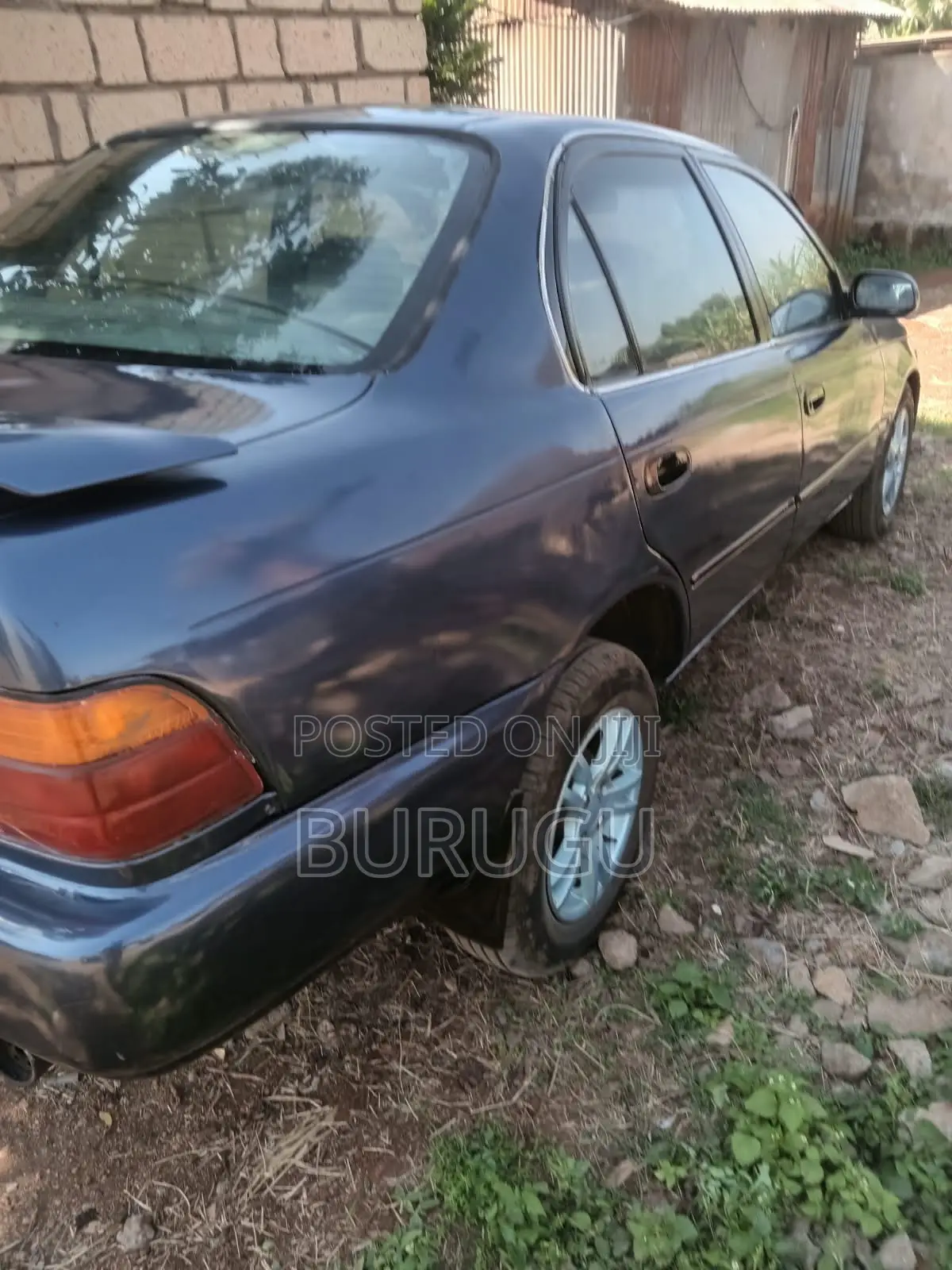 Toyota Corolla 2001 Blue