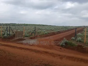 50*100 Plots for Sale Kikuyu Nachu