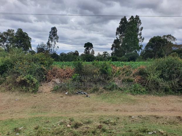 Plots on Nanyuki Highway - thumbnail 4
