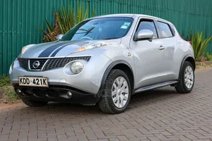 Nissan Juke 2014 Silver