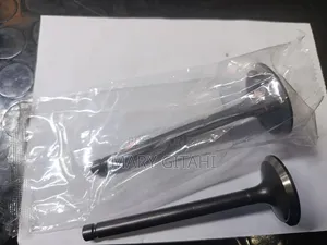 Outlet and Inlet Valve Toyota Land Cruiser 79