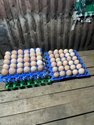 Kienyenji Eggs