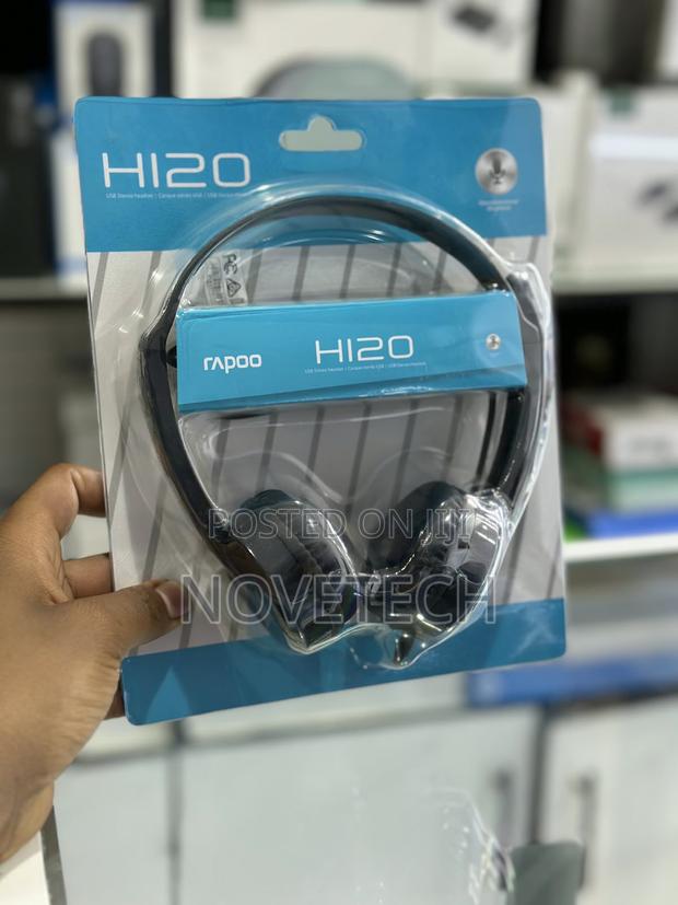 Rapoo H120 USB Stereo Headset Wired