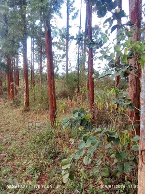 Makuyu Mananja