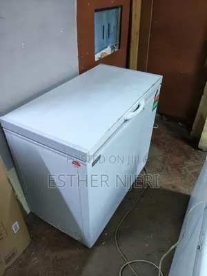 Ecomax Original 300litres Chest Freezer