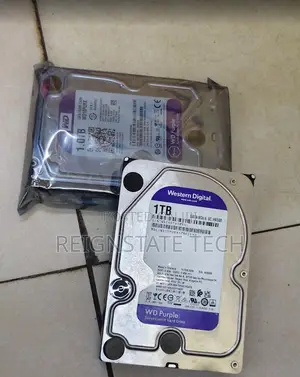1TB WD Purple Surveillance Hard Disk for DVR, NVR Storage
