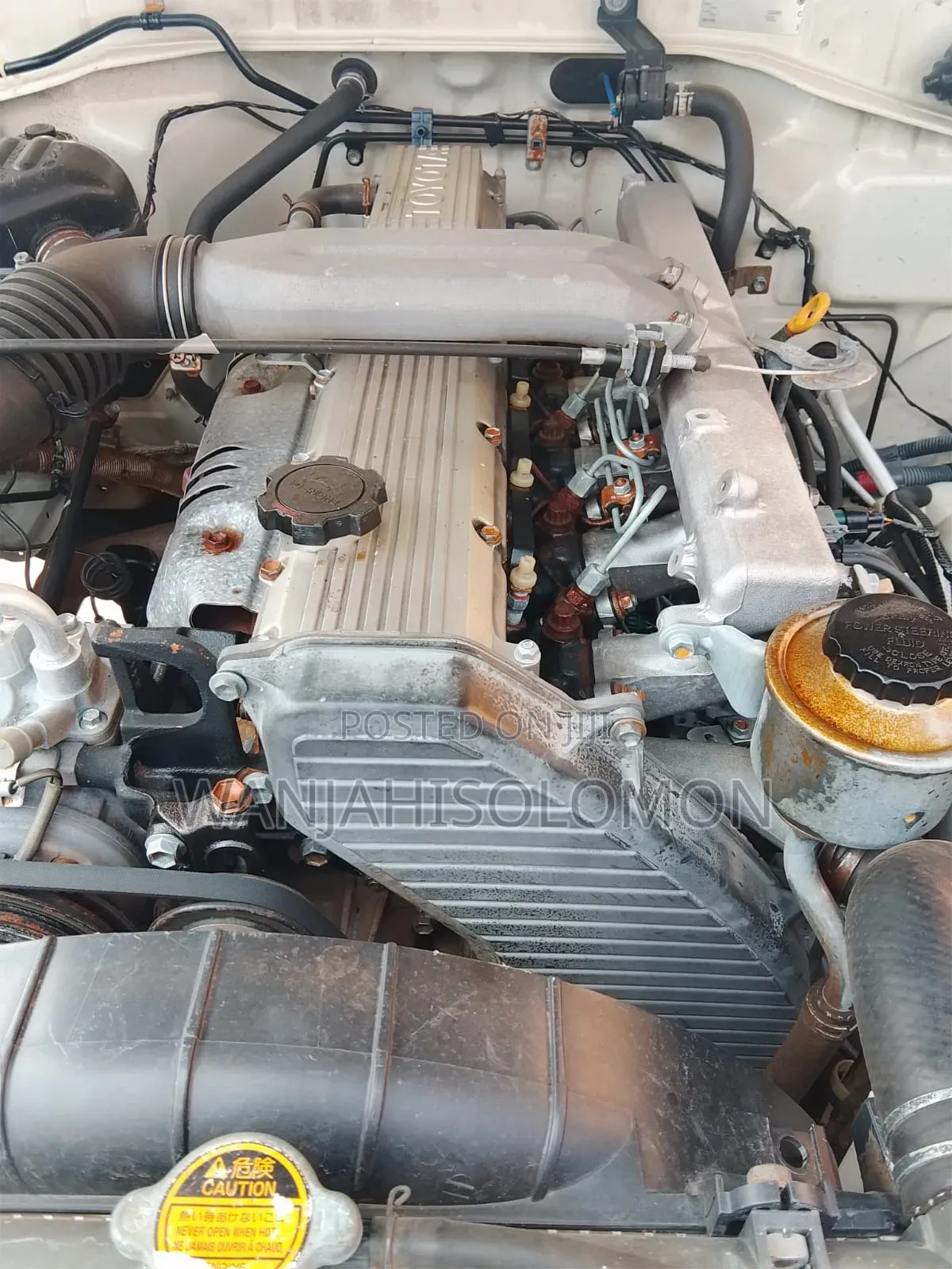 Toyota Land Cruiser 2006 White