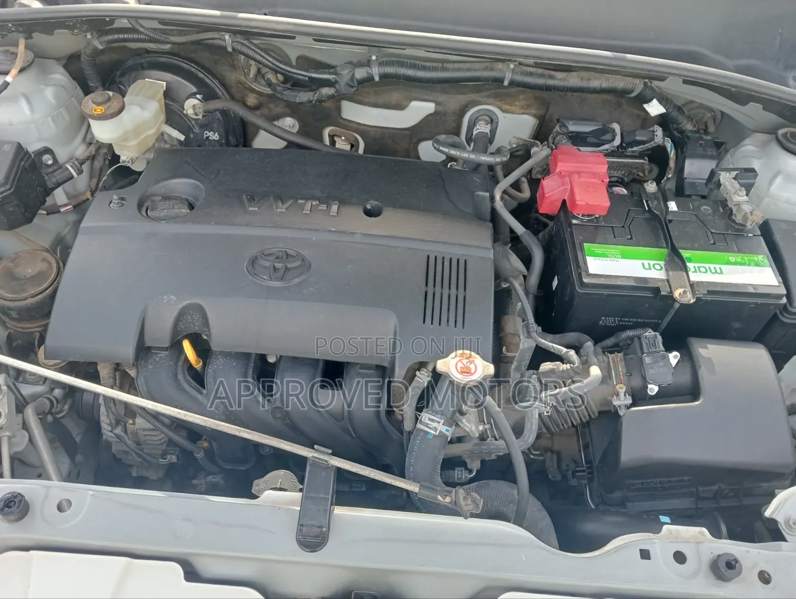 Toyota Succeed 2019 White