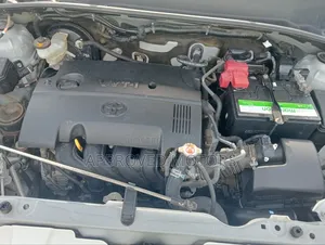 Toyota Succeed 2019 White