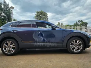 Mazda CX-30 2020 Blue