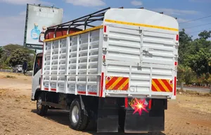 Isuzu NMR 2014 White