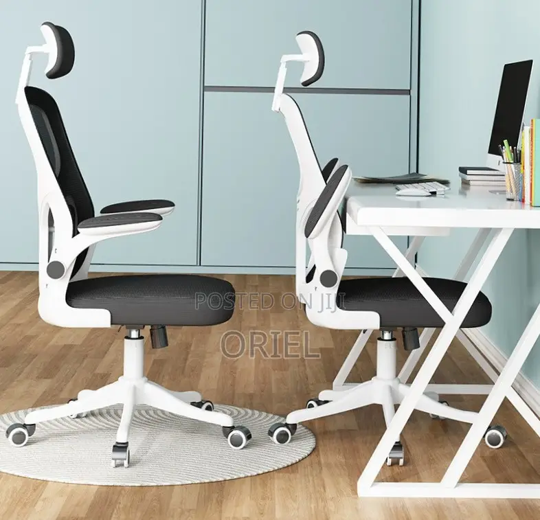 Office Chair : Breathable Mesh Ergonomic and Lumbar Support Chair