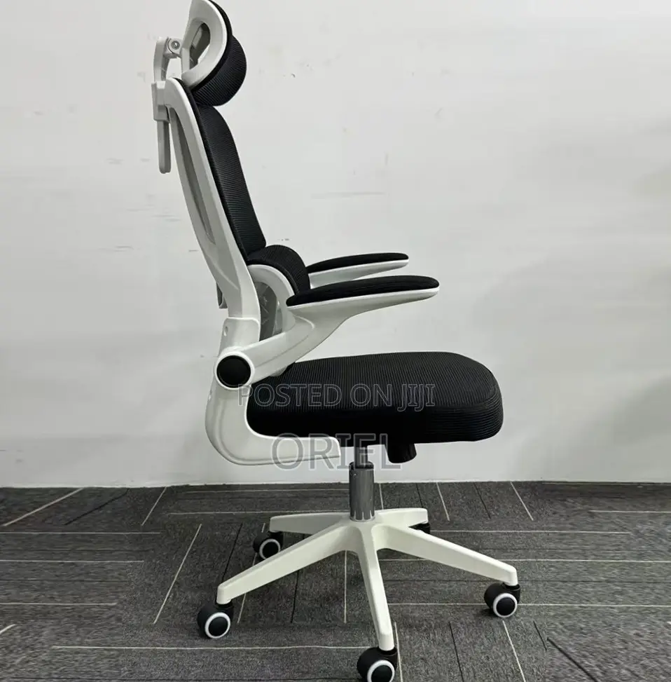 Office Chair : Breathable Mesh Ergonomic and Lumbar Support Chair