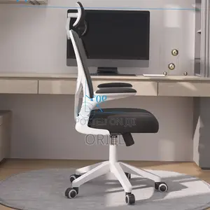 Office Chair : Breathable Mesh Ergonomic and Lumbar Support Chair