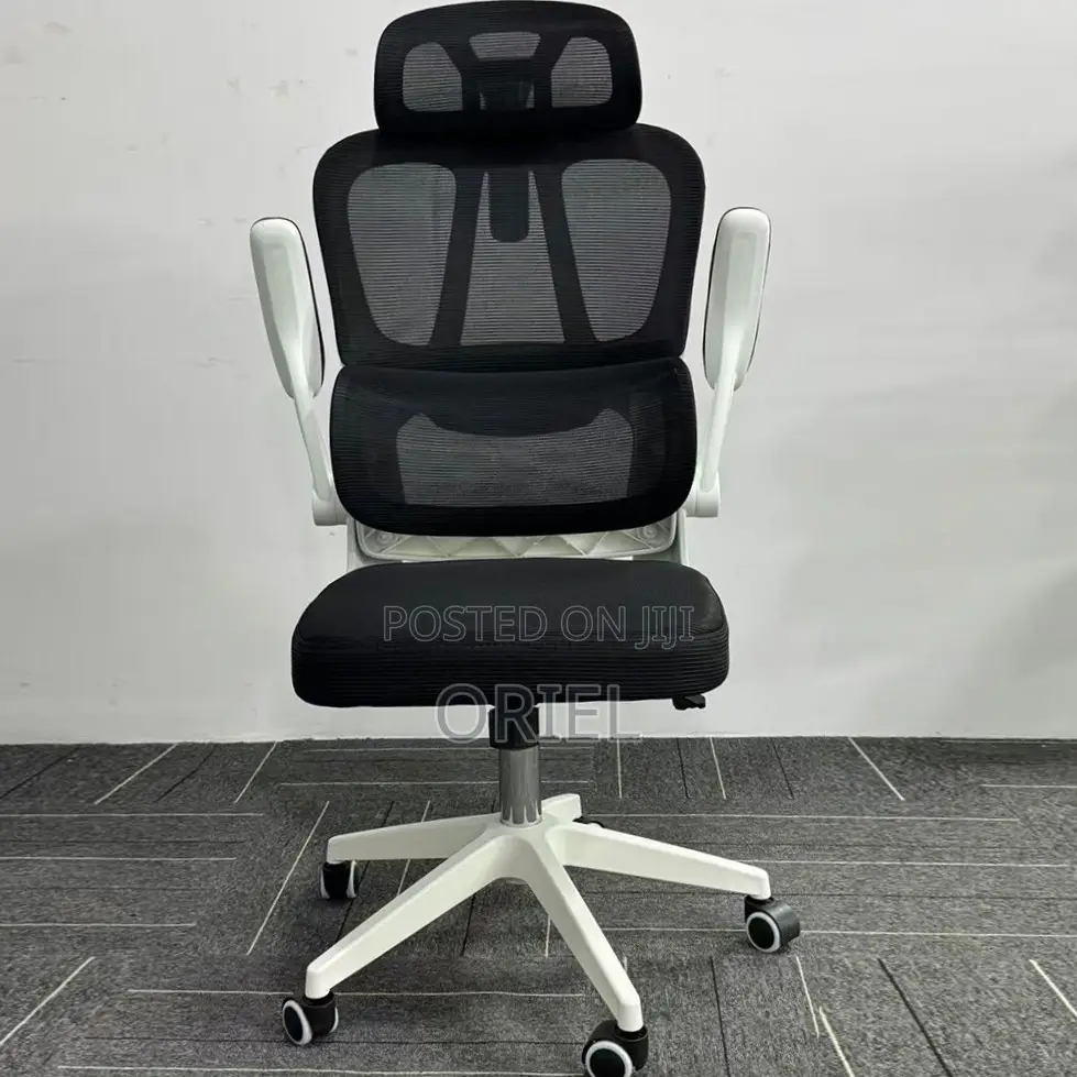 Office Chair : Breathable Mesh Ergonomic and Lumbar Support Chair