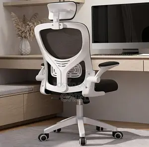 Office Chair : Breathable Mesh Ergonomic and Lumbar Support Chair