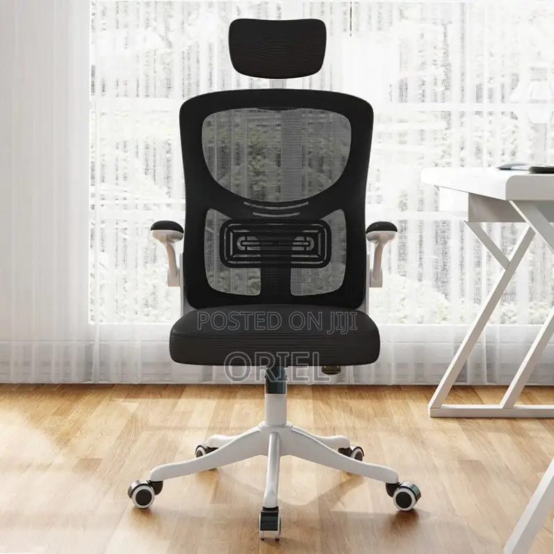 Office Chair : Breathable Mesh Ergonomic and Lumbar Support Chair