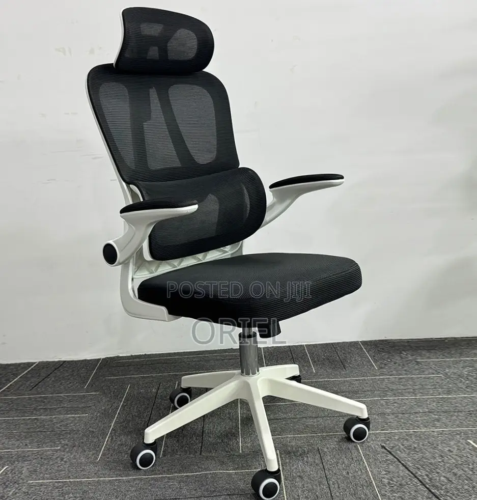 Office Chair : Breathable Mesh Ergonomic and Lumbar Support Chair