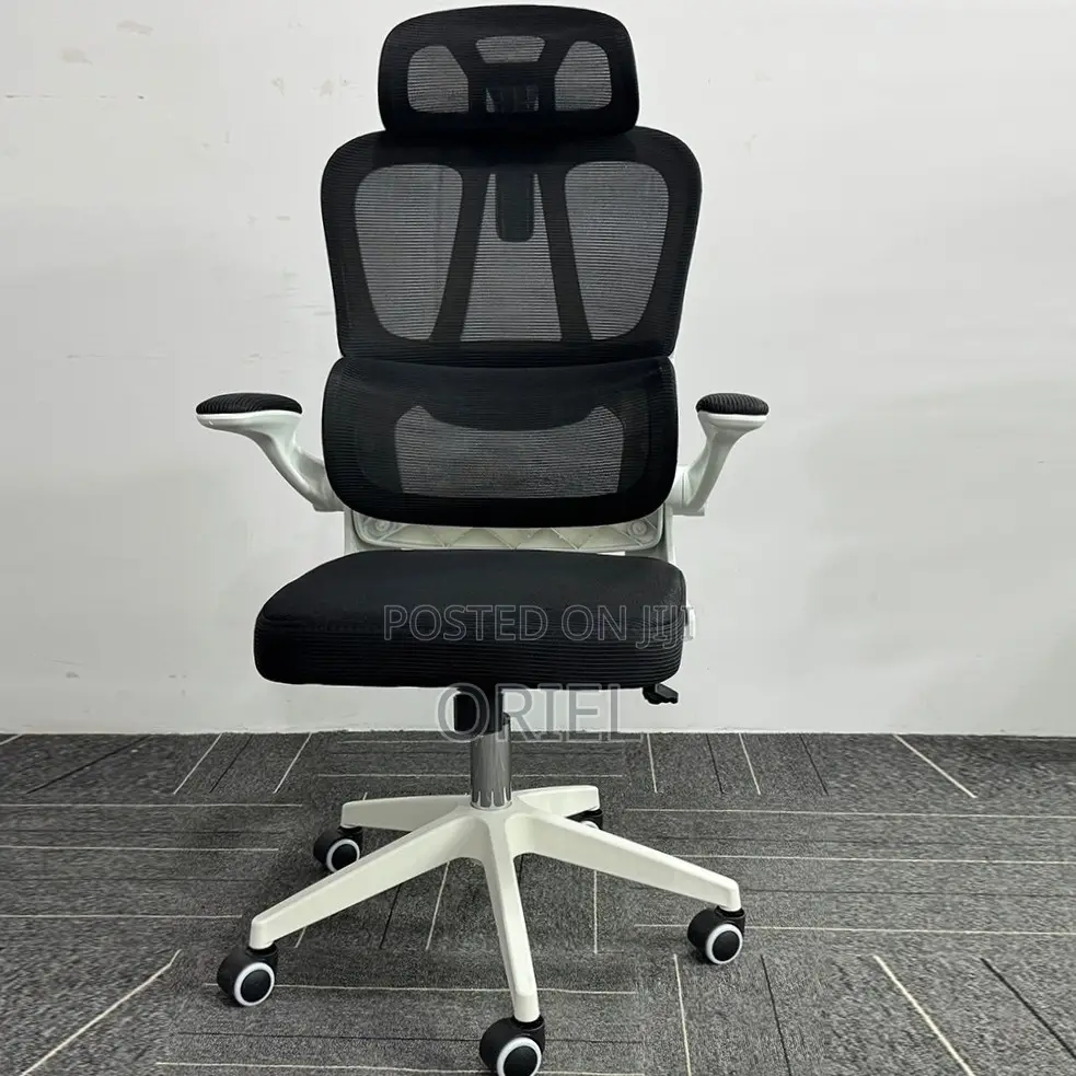 Office Chair : Breathable Mesh Ergonomic and Lumbar Support Chair