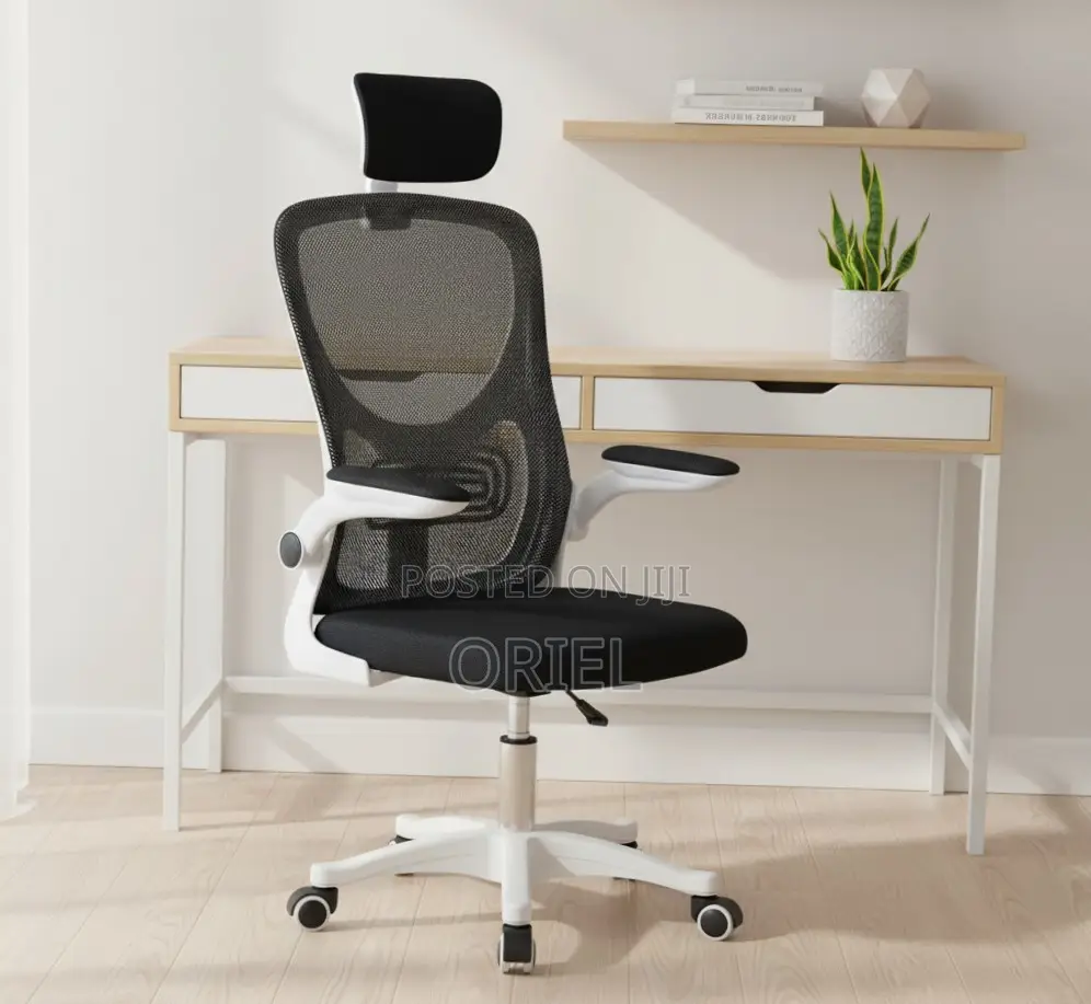 Office Chair : Breathable Mesh Ergonomic and Lumbar Support Chair
