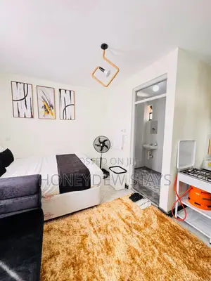 Furnished Studio & 1 Bedroom Airbnb Apartments in Milimani Kisumu