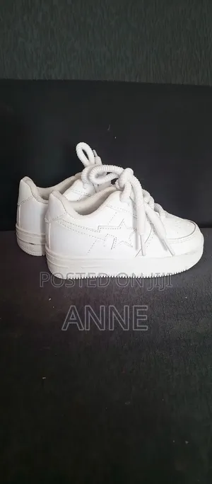Amysky Collection