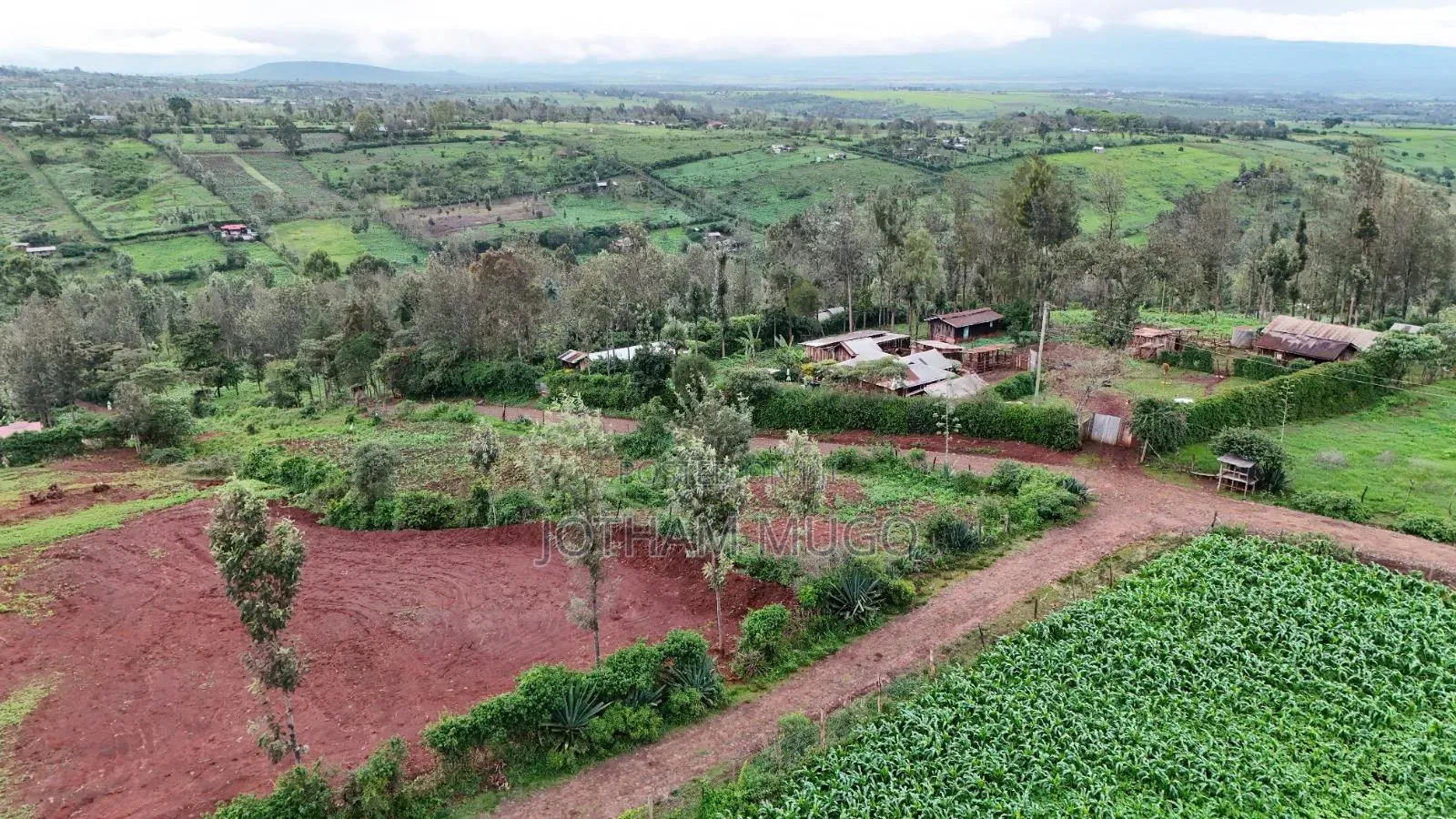 Prime Plot in Mweiga
