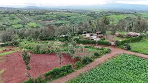 Prime Plot in Mweiga