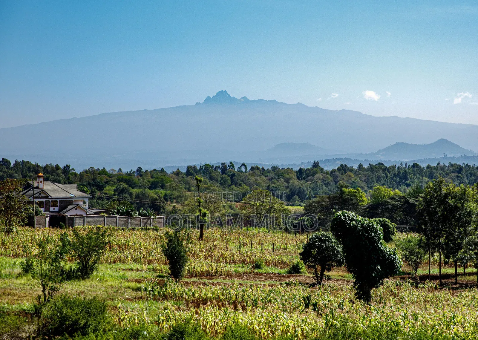 Prime Plot in Mweiga