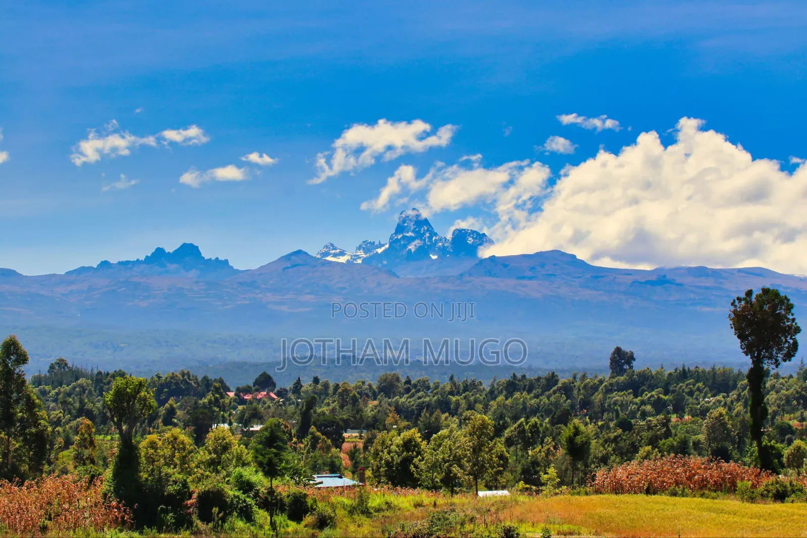 Prime Plot in Mweiga