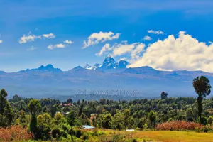 Prime Plot in Mweiga