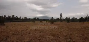 Thika Gatuanyaga Munyu 50 by 100 Prime Plot