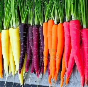 Premium Rainbow Carrots Seeds-Purple, Yellow, Orange