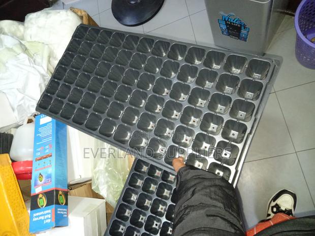 Commercial Seedling Production Trays - main view
