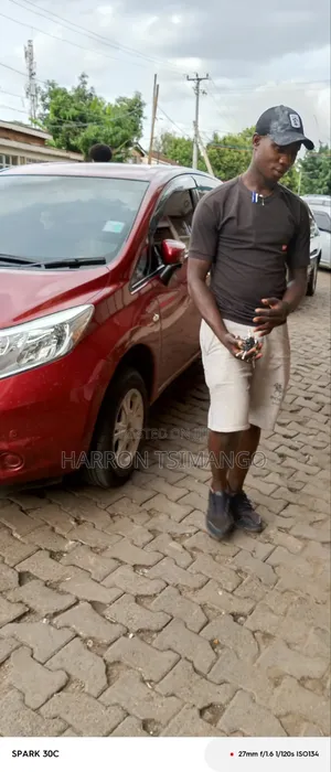 Driver ,Painter ,Electrician and Maintenance