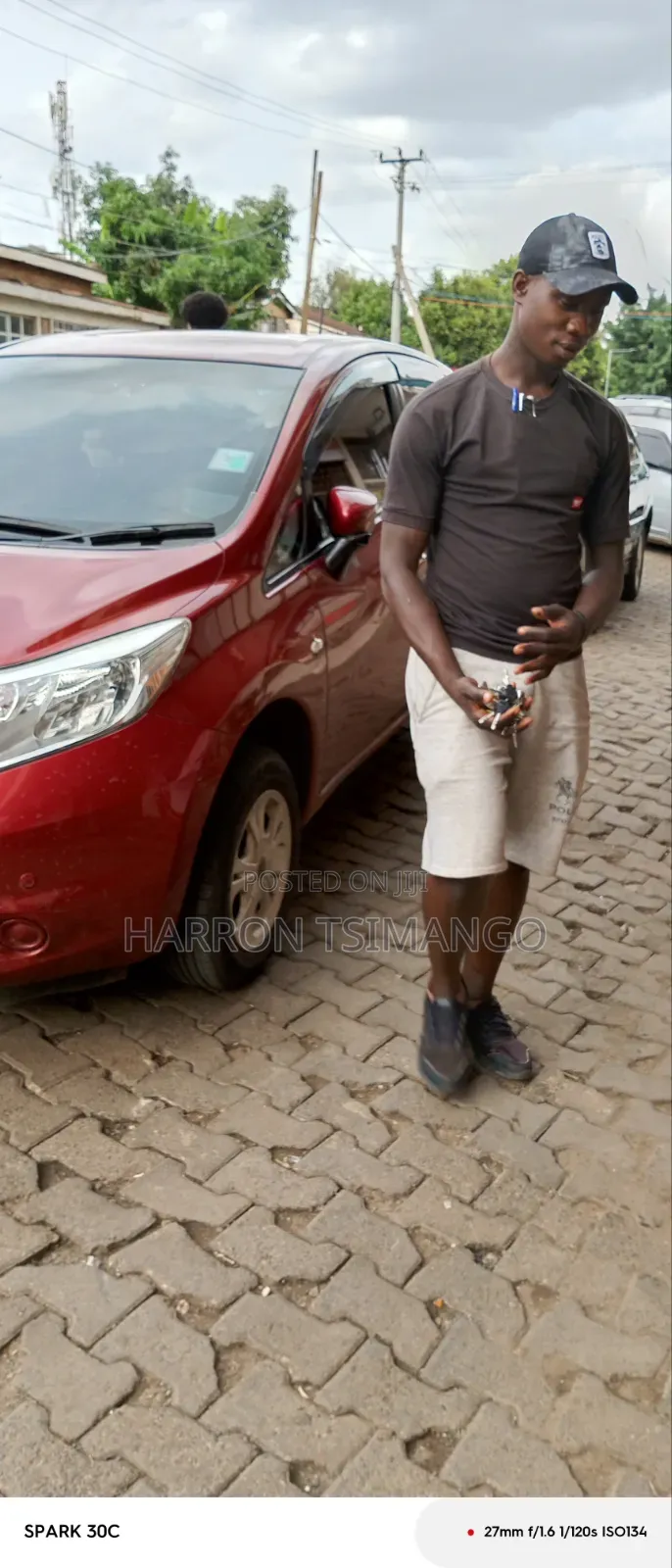 Driver ,Painter ,Electrician and Maintenance