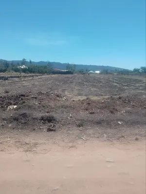 3 Joint Plots Each Sized 50by 100ft MKS- Kenya Israel