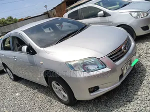 Toyota Axio 2009 Gray