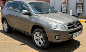 Toyota RAV4 2010 Brown
