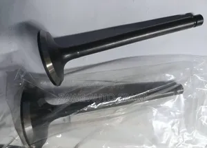 Outlet and Inlet Valve for Land Cruiser 79 1Hz Engine