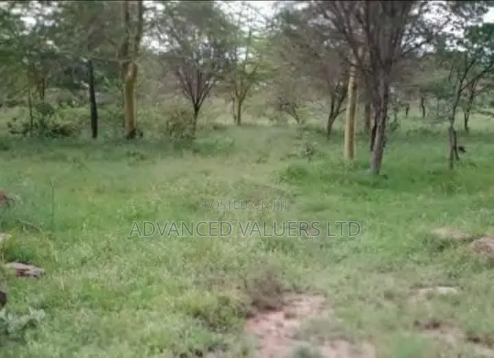 Prime & Strategic 10-Acre Land