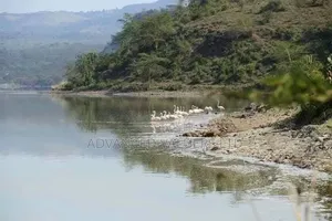 Prime & Strategic 10-Acre Land