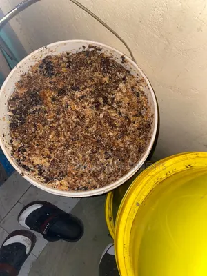 Raw Bee Honey