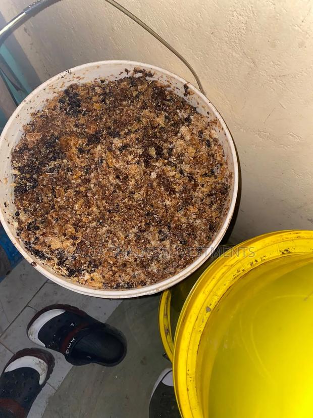 Raw Bee Honey - main view