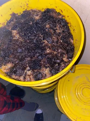Raw Bee Honey