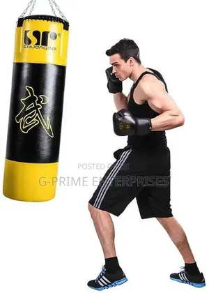 Professional Punching Bag