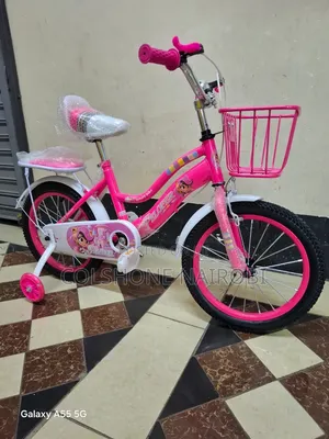 Kids' Bicycle With Front Basket,Rear Seat,and Training Wheels(16-Inch)