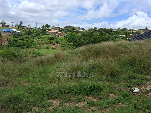 Plot for Sale Mikindani.size 40ft by 90ft. - thumbnail 4